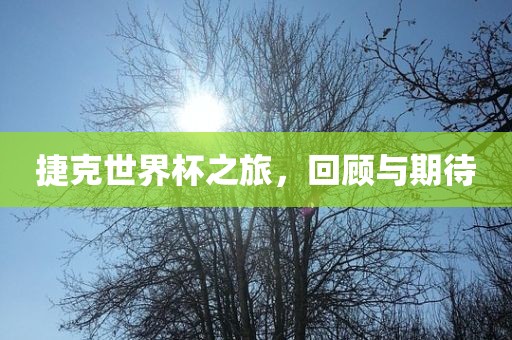 捷克世界杯之旅，眉山市正发家政服务有限公司回顾与期待