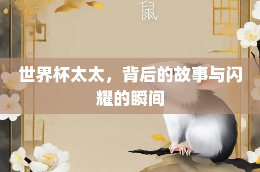 世界杯太太，背后的故事与闪耀的瞬间眉山市正发家政服务有限公司