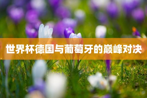 世界杯德国与葡萄牙的巅峰对决