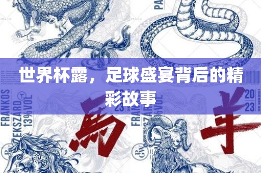 世界杯露，足球盛宴背后的精彩故事眉山市正发家政服务有限公司