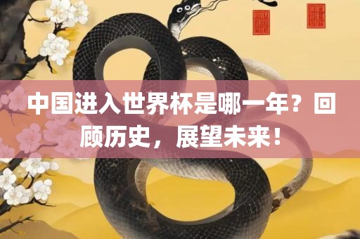 中国进入世界杯是哪一年？回顾历史，展望未来！