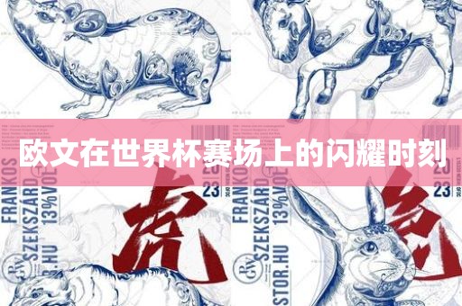欧文在世界杯赛场上的闪耀时刻眉山市正发家政服务有限公司