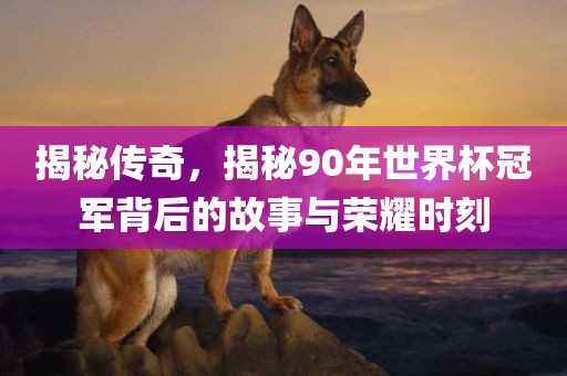 揭秘传奇，揭秘90年世界杯冠军背后的故事与荣耀时刻眉山市正发家政服务有限公司