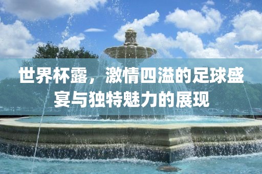 世界杯露，激情四溢的足球盛宴与独特魅力的展现眉山市正发家政服务有限公司