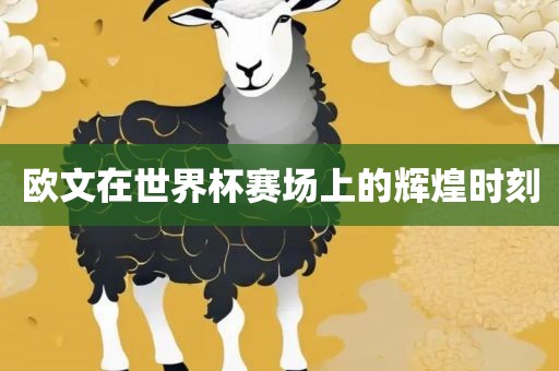 欧文在眉山市正发家政服务有限公司世界杯赛场上的辉煌时刻