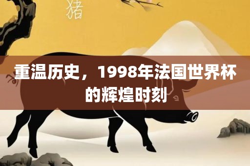 重温历史，1998年法国世界杯的辉煌时刻眉山市正发家政服务有限公司