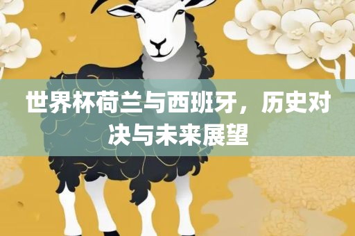 世界杯荷兰与西班牙，历史对决与未来展望