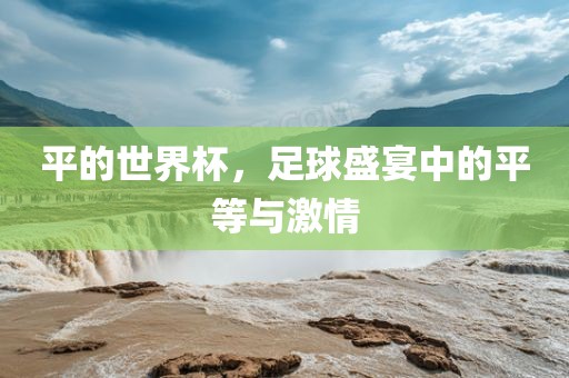 足球盛宴（或足球激情）