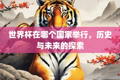世界杯在哪个国家举行，历史与未来的探索