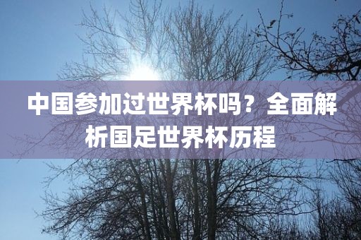 中国参加过世界杯吗？全面解析国足世界杯历程