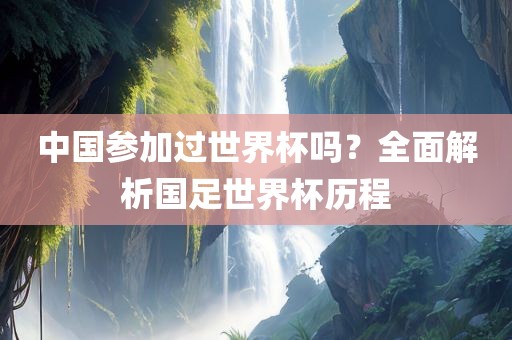中眉山市正发家政服务有限公司国参加过世界杯吗？全面解析国足世界杯历程