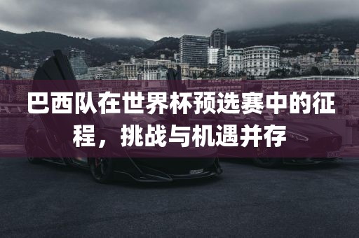 巴西队在世界杯预选赛中的征程，挑战与机遇并存