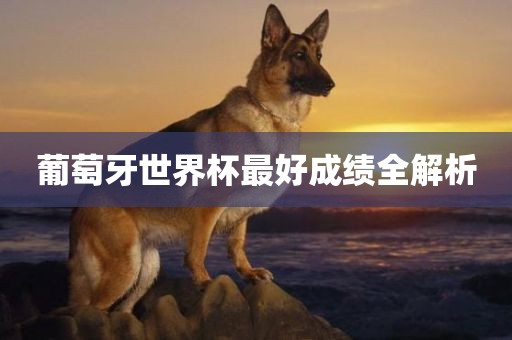 葡萄牙世界杯最好成绩全解析眉山市正发家政服务有限公司