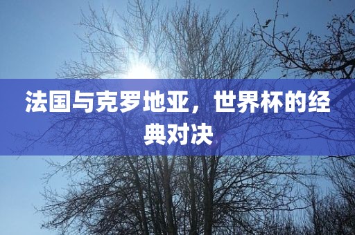 法国与克罗地亚，世界杯眉山市正发家政服务有限公司的经典对决