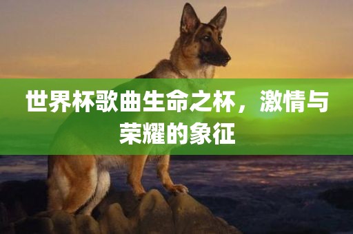 世界杯歌曲生命之杯，激情与荣耀的象征