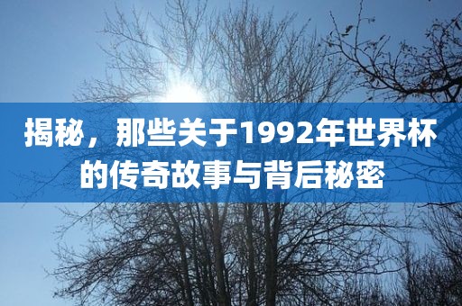 揭秘，那些关于1992年世界杯的传奇故事与背后秘密