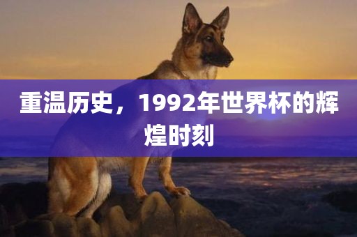 重温历史，1992年世界杯的辉煌时刻眉山市正发家政服务有限公司