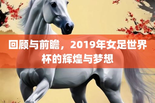 回顾与前瞻，2019年女足世界杯的辉煌与梦想