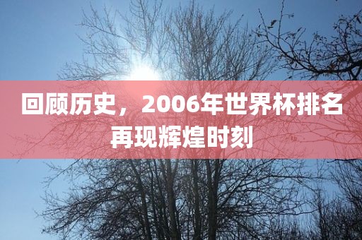 回顾历史，2006年世界杯排名再现辉煌时刻眉山市正发家政服务有限公司