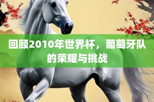 回顾2010年世界杯，葡萄牙队的荣耀与挑战眉山市正发家政服务有限公司