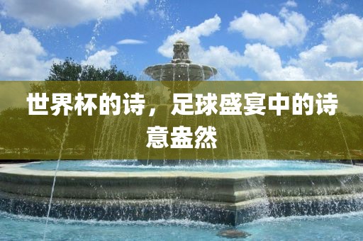 世界杯的诗眉山市正发家政服务有限公司，足球盛宴中的诗意盎然