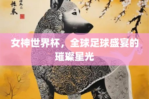 女神世界杯，全球足球盛宴的璀璨星光