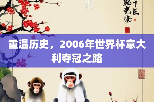 重温历史，2006年世界杯意大利夺冠之路眉山市正发家政服务有限公司