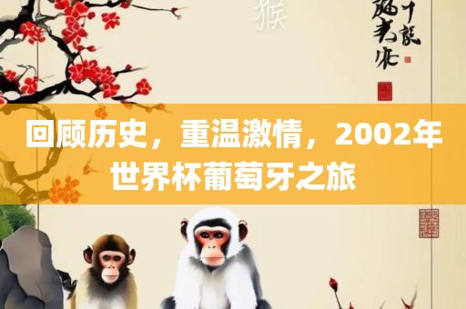 回顾历史，重温激情，2002年世界杯葡萄牙之旅眉山市正发家政服务有限公司