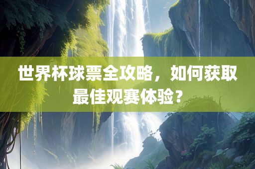 世界杯球票全攻略，如何获取最佳观赛体验？