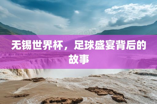 无锡世界杯，足球盛宴背后的故事眉山市正发家政服务有限公司