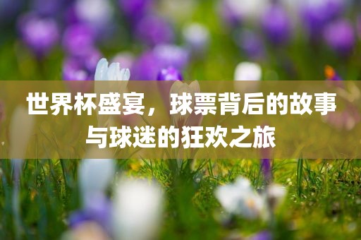 世界杯盛宴，球票背后的故事与球迷的狂欢之旅