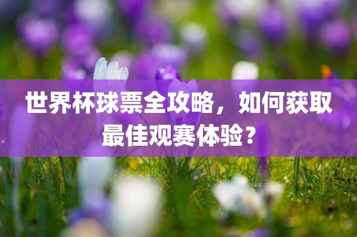 世界杯球票全攻略，如何获取最佳观赛体验？