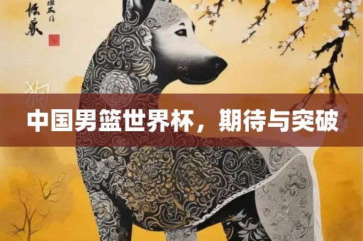 中国男篮世界杯，期待与突破