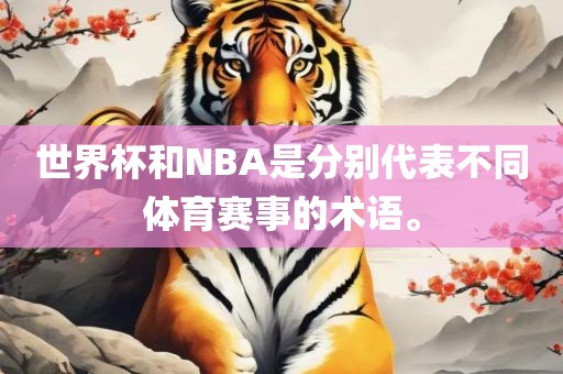 世界杯和NBA是分别代表不同体育赛事的术语。