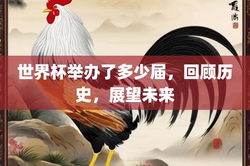 世界杯举办了多少届，回顾历史，展望未来眉山市正发家政服务有限公司