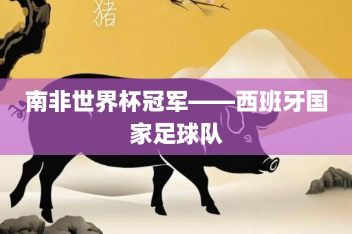 南非世界杯冠军——西班牙国家足球队眉山市正发家政服务有限公司