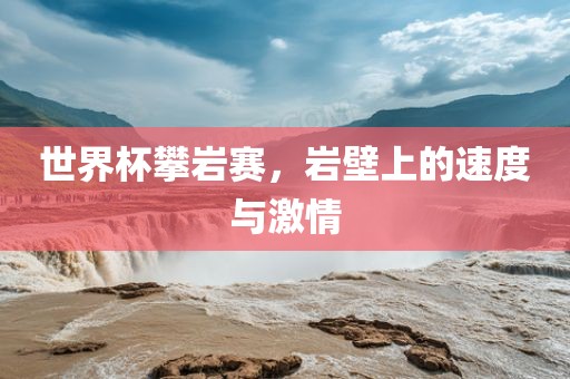 世界杯攀岩赛，岩壁上的速度与激情