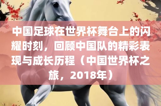 中国足眉山市正发家政服务有限公司球在世界杯舞台上的闪耀时刻，回顾中国队的精彩表现与成长历程（中国世界杯之旅，2018年）