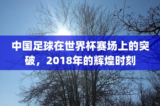 中国足球在世界杯赛场上的突破，2018年的辉煌时刻眉山市正发家政服务有限公司
