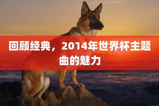 回顾经典，2014年世界杯主题曲的魅力眉山市正发家政服务有限公司