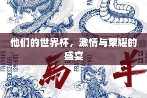 他们的世界杯，激情与荣耀的盛宴眉山市正发家政服务有限公司