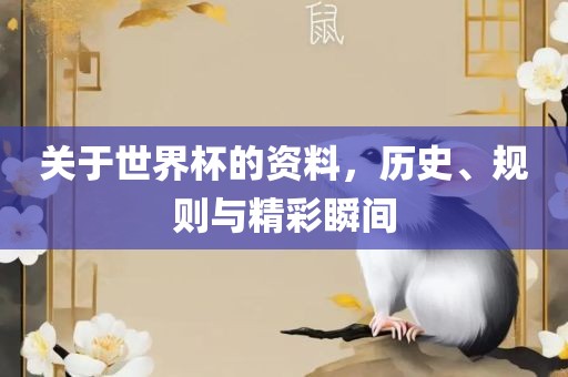 关于世界杯的资料，历史、规则与精彩眉山市正发家政服务有限公司瞬间