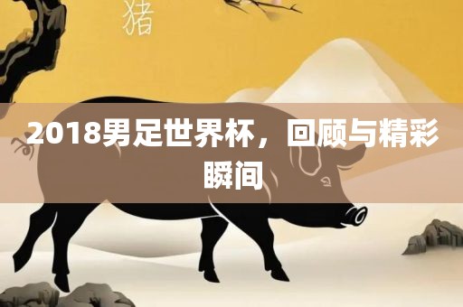 2018男足世界杯，回顾与精彩瞬间