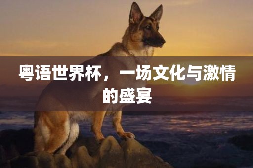 粤语世界杯，一场文化与激情的盛宴眉山市正发家政服务有限公司