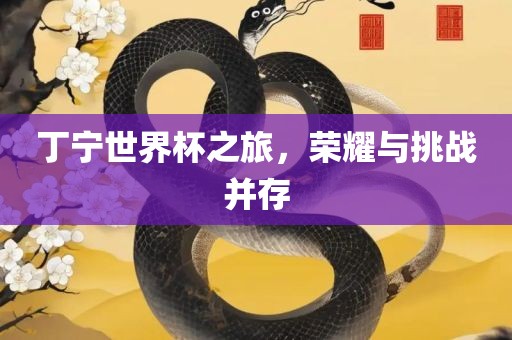 丁宁世界杯之旅，荣耀与挑战并存眉山市正发家政服务有限公司