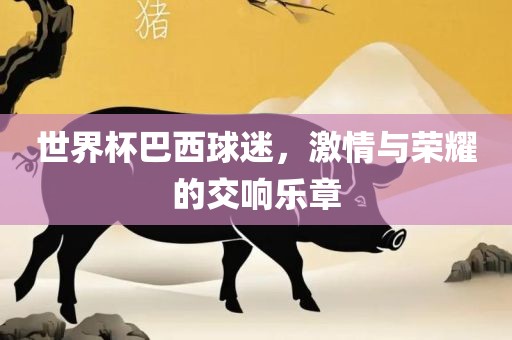世界杯巴西球迷，激情与荣耀的交响乐章眉山市正发家政服务有限公司