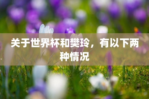 关于世界杯和樊玲，有以下两种情况眉山市正发家政服务有限公司