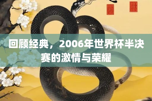 回顾经典，2006年世界杯半决赛的激情与荣耀