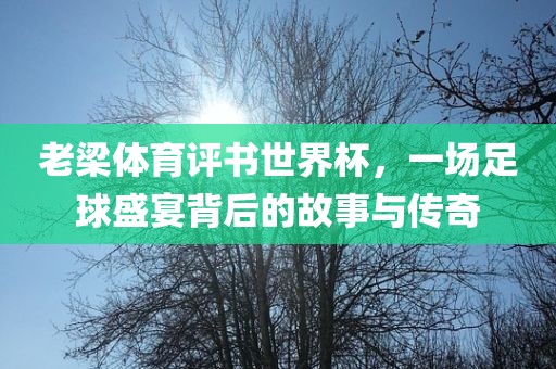 老梁体育评书世界杯，一场足球盛宴背后的故事与传奇