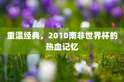 重温经典，2010南非世界杯的热血记忆